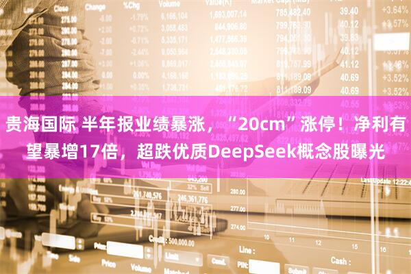 贵海国际 半年报业绩暴涨，“20cm”涨停！净利有望暴增17倍，超跌优质DeepSeek概念股曝光