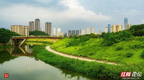 金港赢配资 从黄昏到夜色，我在咸嘉湖邂逅了心动的画面