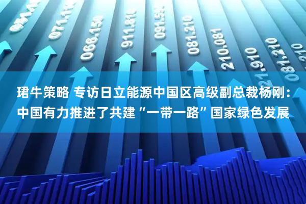 珺牛策略 专访日立能源中国区高级副总裁杨刚：中国有力推进了共建“一带一路”国家绿色发展